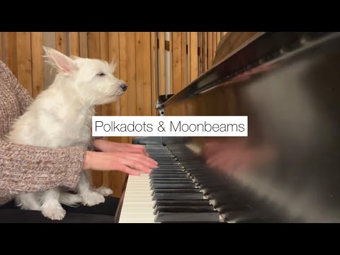 A white dog sits on the legs of a woman who is playing the piano. A title card reads Polka Dots And Moonbeams