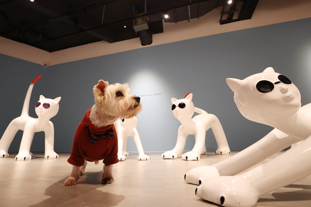 A terrier dog in a sweater stands among four abstract statues depicting white cats with dark glasses
