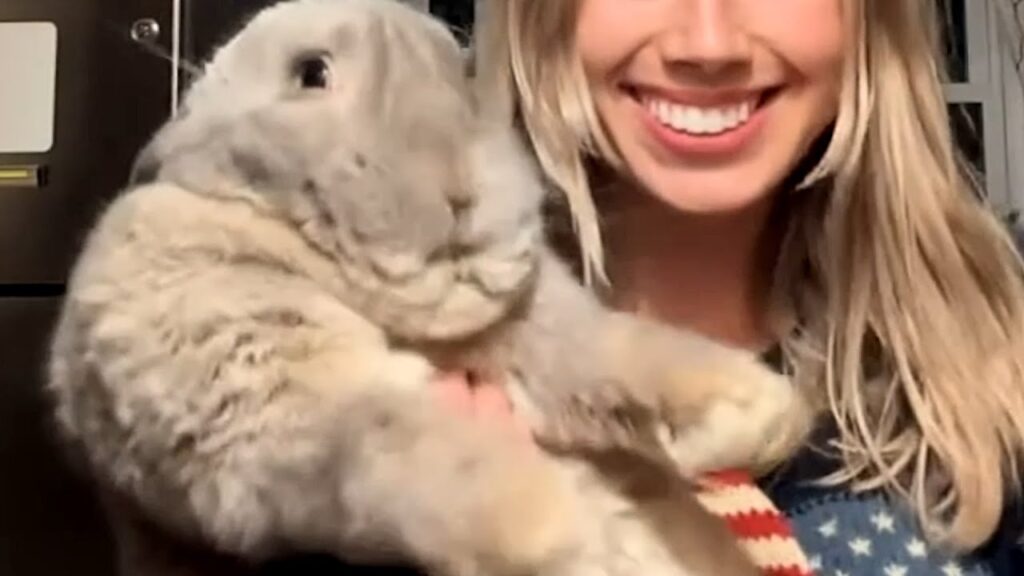 A smiling woman holds a large grey rabbit