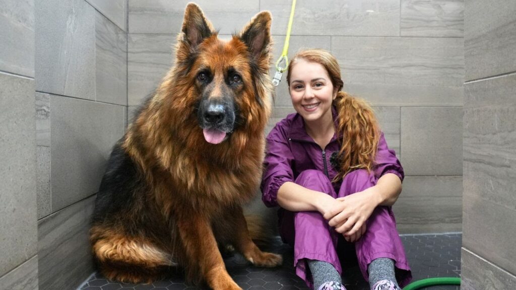 A German Shepherd dog sits next to a smiling woman