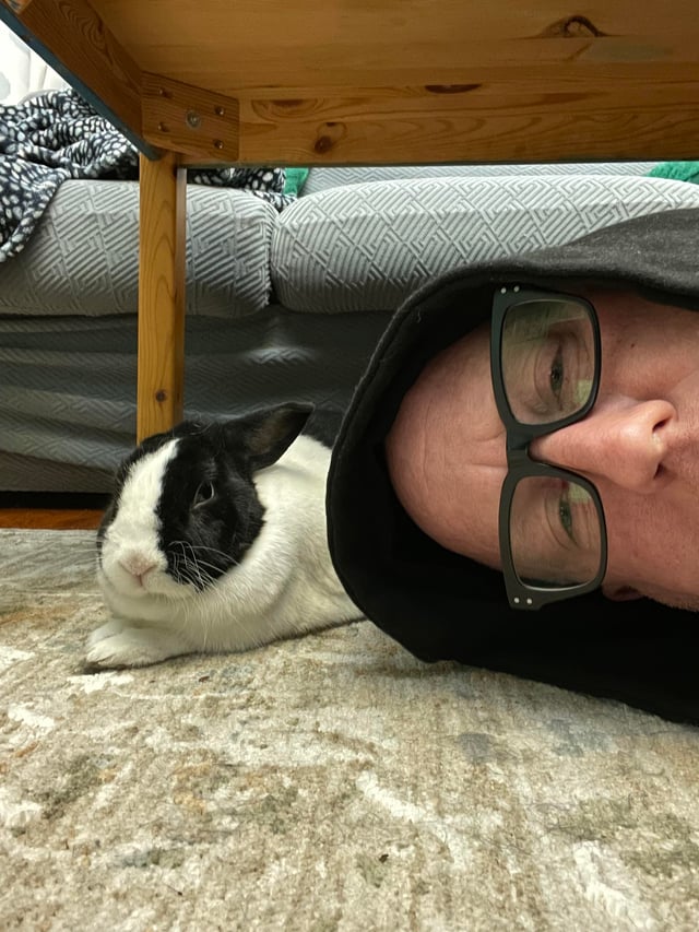 A black and white rabbit lies on a carpeted floor next to a man whose face is partially visible