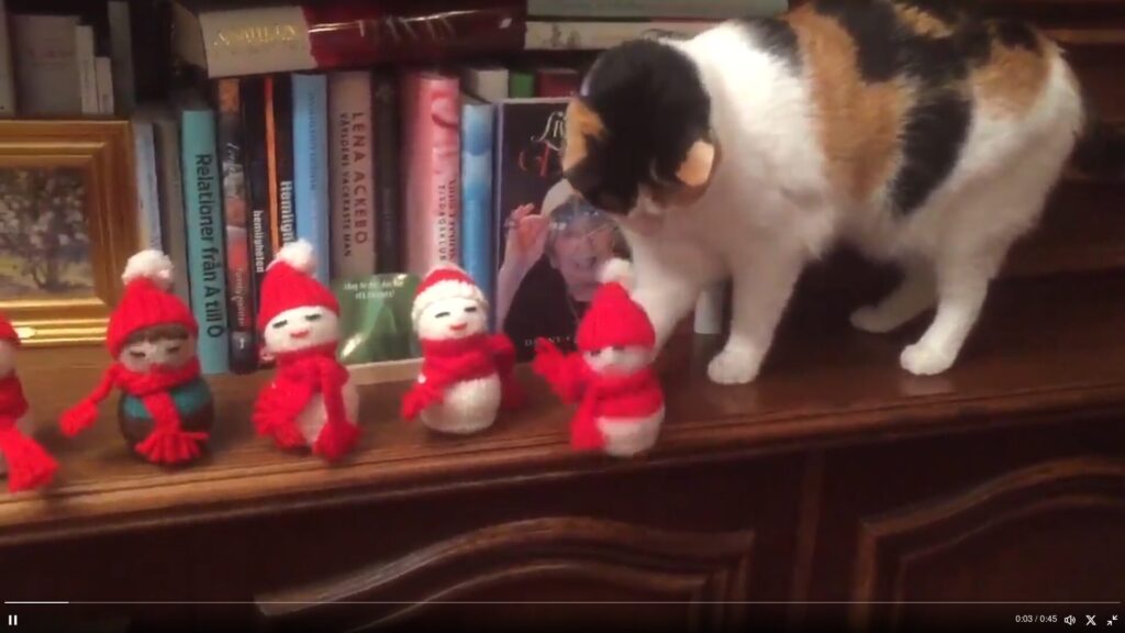 cat knocks holiday decoration from a shelf