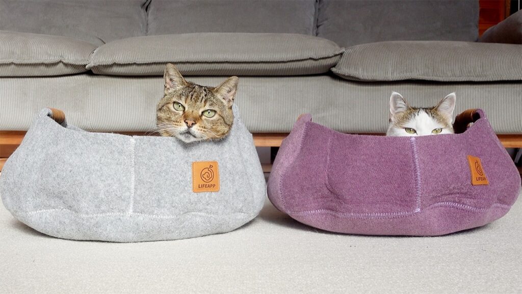 Two cats sit individually in separate cat beds. We can only see their heads peeking out from inside