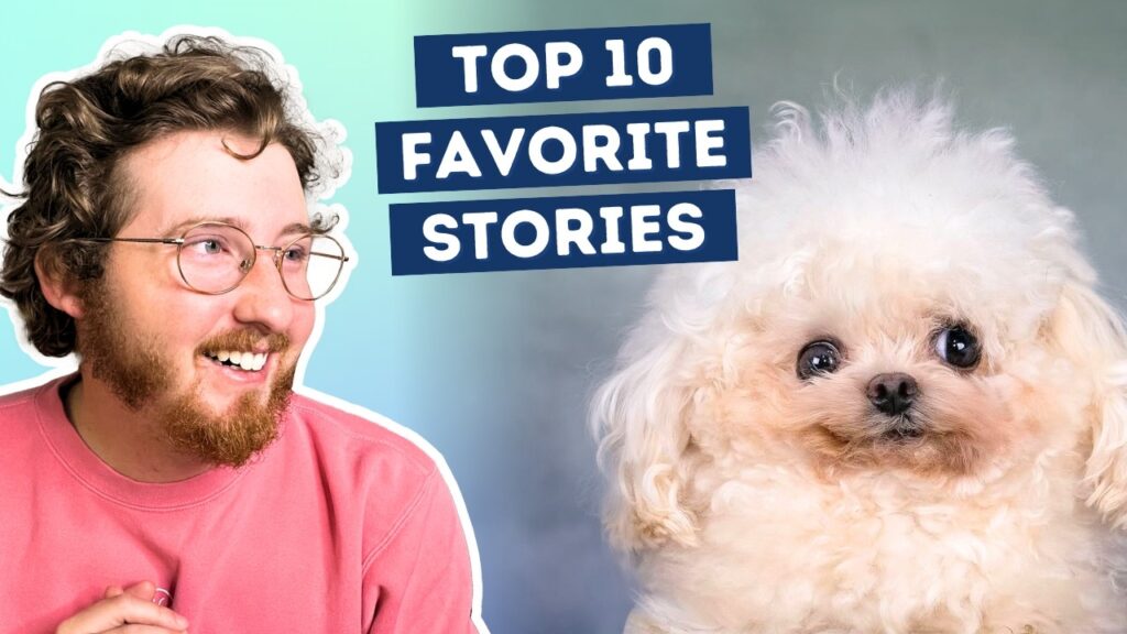 title screen from Top 10 Favorite Stories, showing a human narrator looking at a cute dog.
