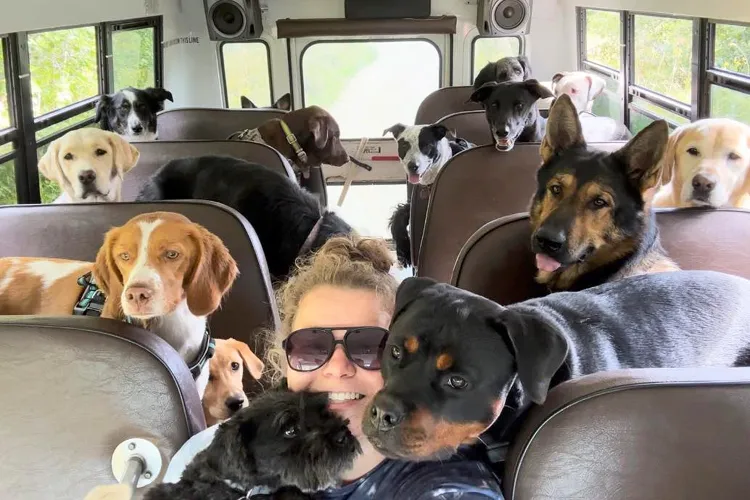 Woman sits in the aisle of a school bus surrounded by dogs
