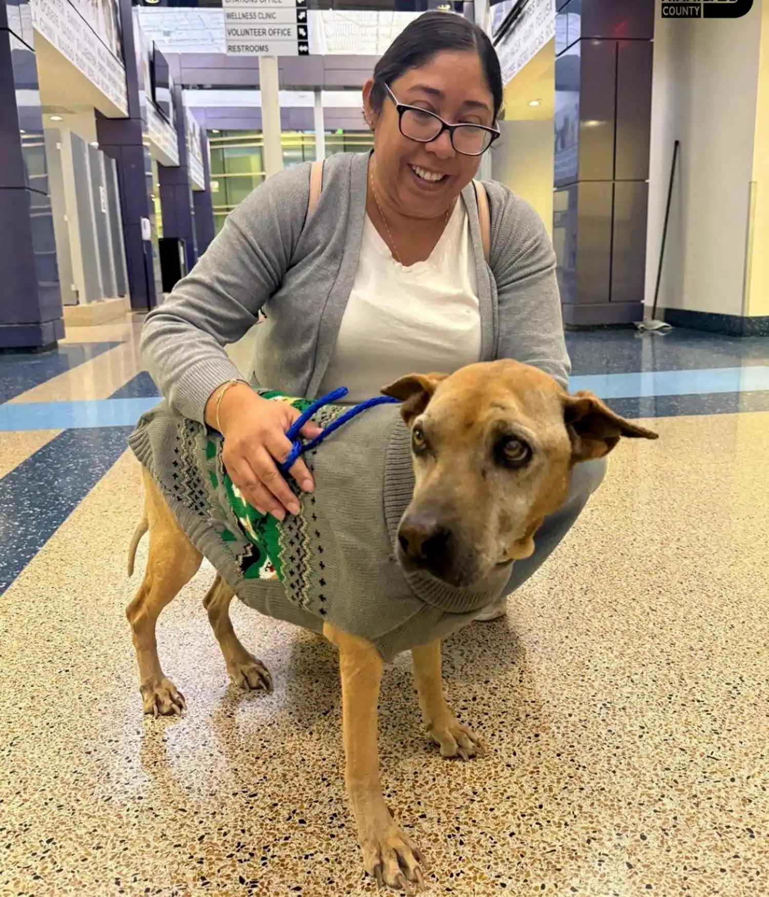 A happy woman kneels down behind a dog who is wearing a sweater.