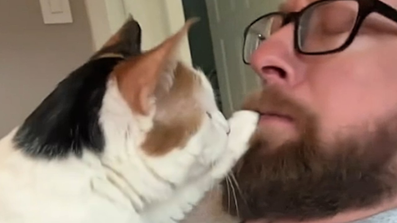 A cat places its paw over the mouth of a bearded man to silence him.