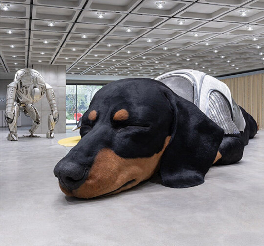 A hyper realistic sculpture of a giant dachshund sleeping in a futuristic gallery space. Strange robot like structures are displayed in the background.