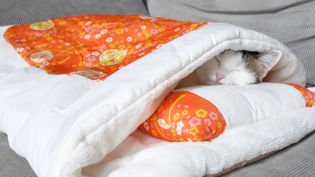 A cat sleeps contentedly on a small futon mattress covered by a padded blanket