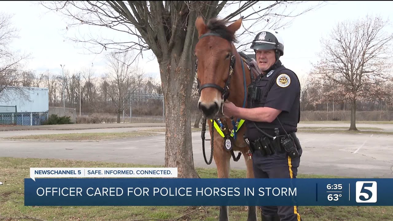 Image from a video news report. Title: "officer cared for police horses in storm"