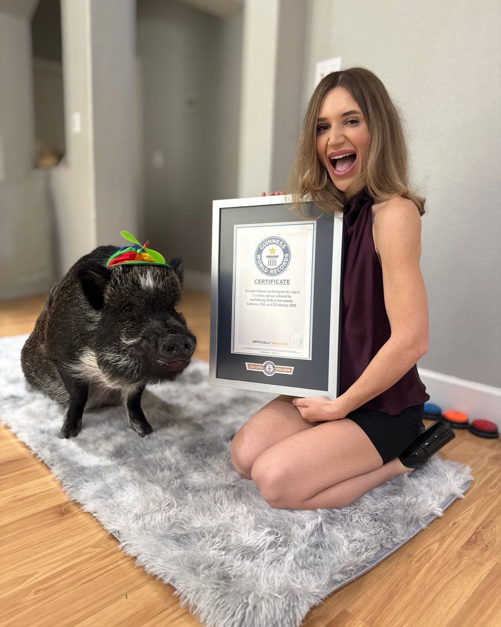 A pig wearing a beanie stands next to a woman proudly holding a plaque from the Guinness book of world records.
