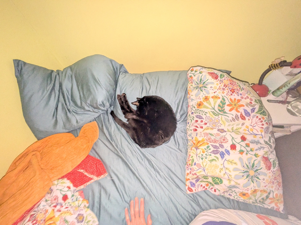 A cat curls up asleep in the center of a collection of pillows.