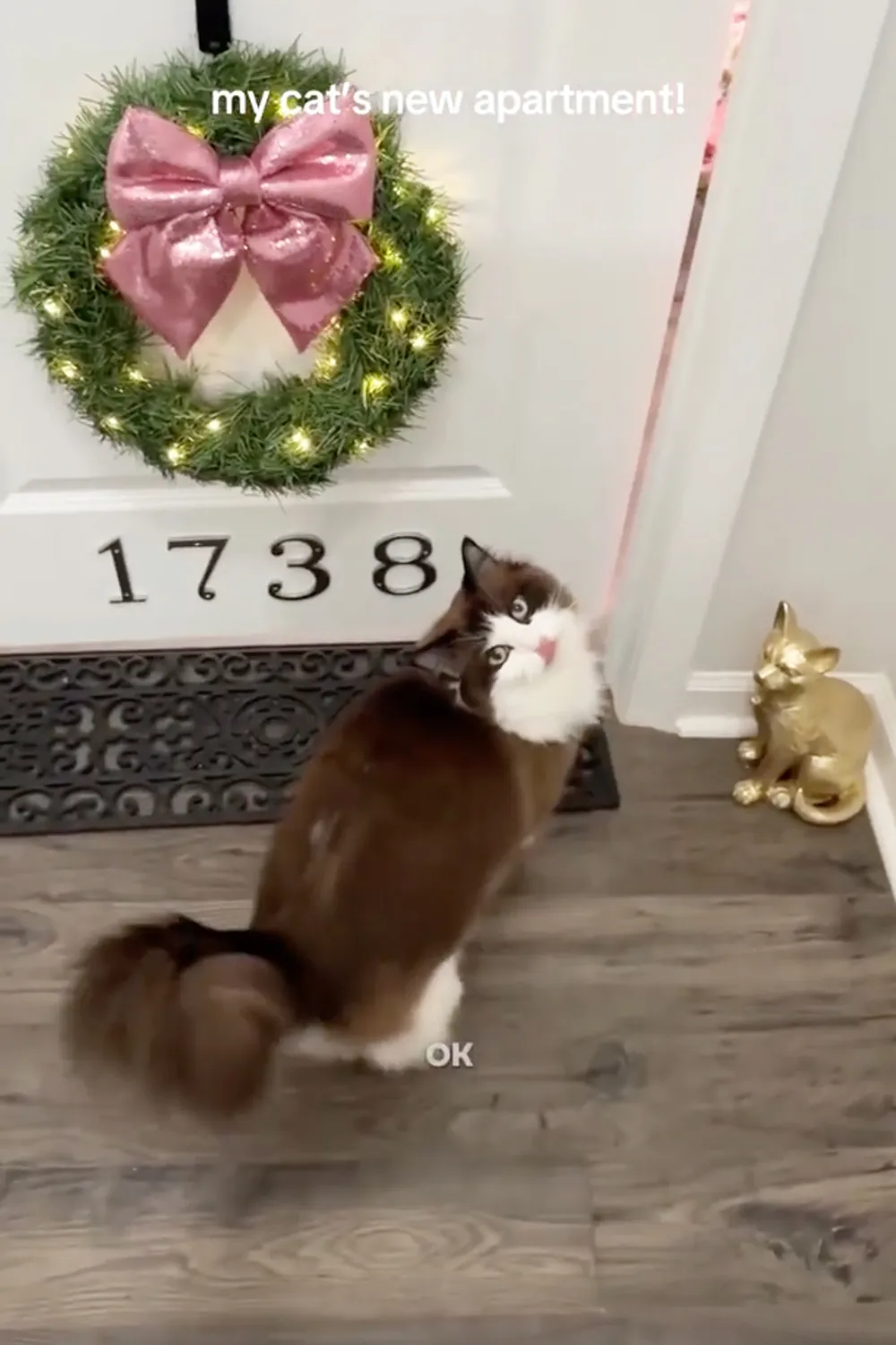 A cat stands on a doormat in front of a door with an apartment number on it
