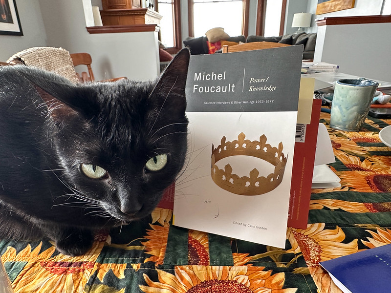 A cat sits on a table next to a book titled "power/knowledge" by Michael Foucault 