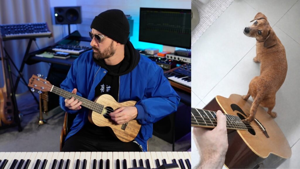A split screen image featuring a man sitting at a piano keyboard holding a guitar on the left, and on the right and overhead photograph of a dog banging its tail against guitar strings