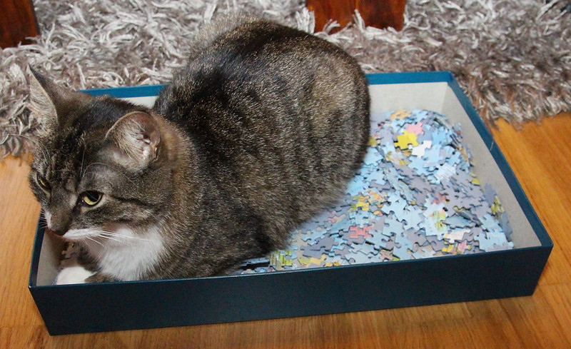 A cat sits inside an open box containing jigsaw puzzle pieces
