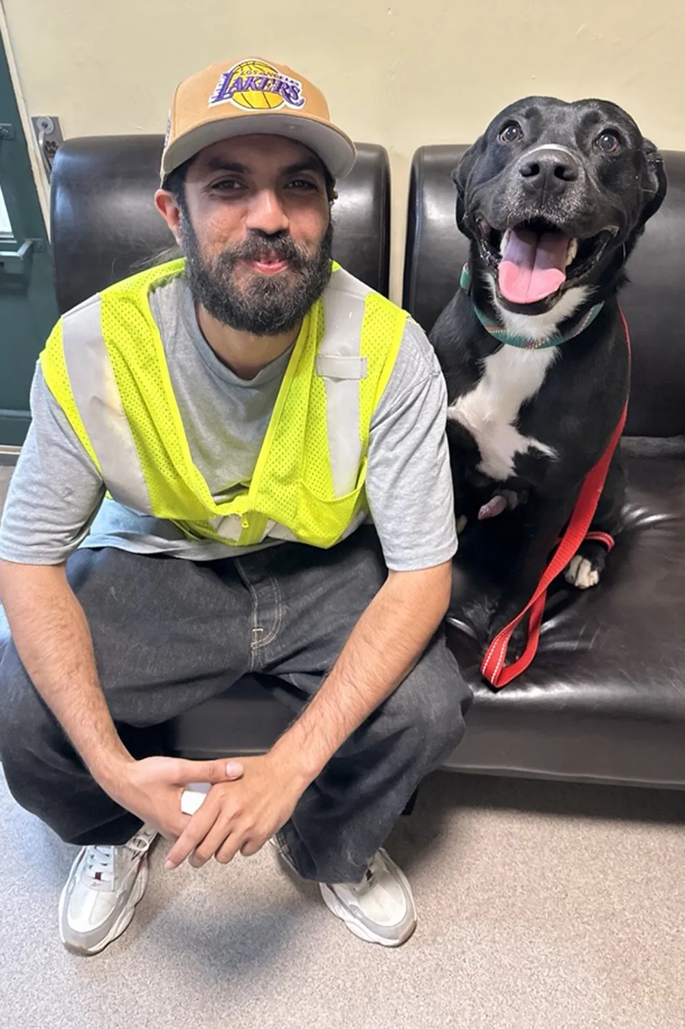 A bearded man and a dog sit next to each other on a sofa