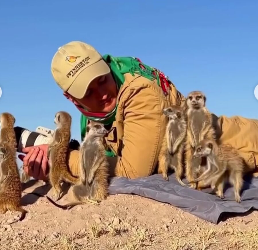 Meerkats surround a man lying on the ground holding a camera