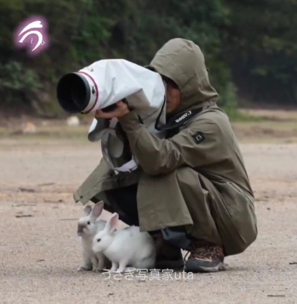 A photographer squats on the ground looking through a camera with a very large lens. In front of the photographer there are two white rabbits.