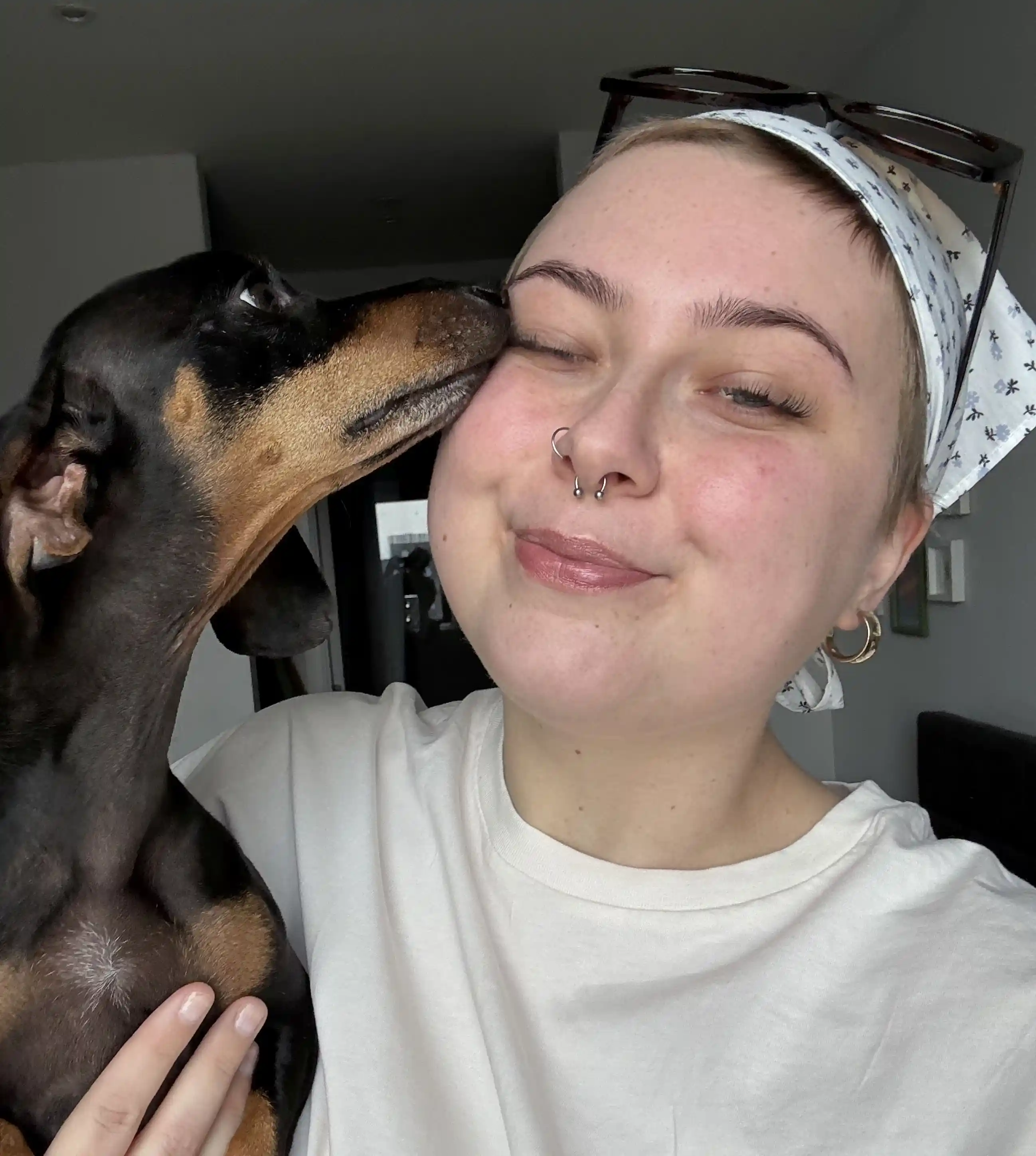 A dachshund licks a woman's face