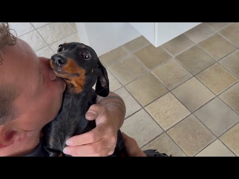 A man holds a small dachshund in his arms and kisses it on the cheek