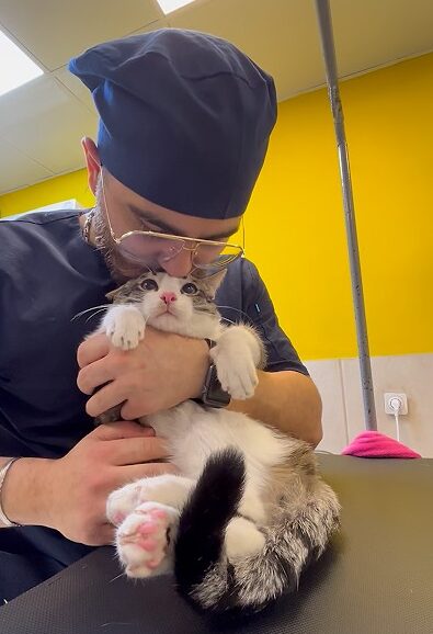A bearded man wearing a dark blue shirt and cap cuddles and kisses the head of a confused-looking cat.