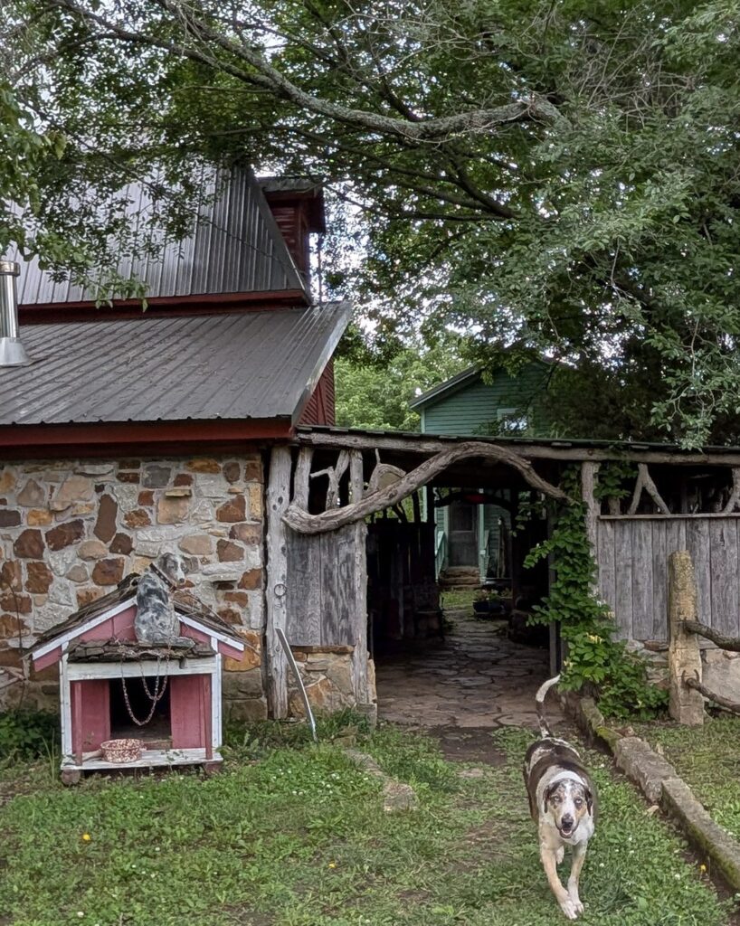 Photograph of one side of a old and rustic farmhouse. In front of a brick wall to the left is a wooden dog house with the likeness of a dog painted on top of it. To the right, is the actual dog depicted in the painting.