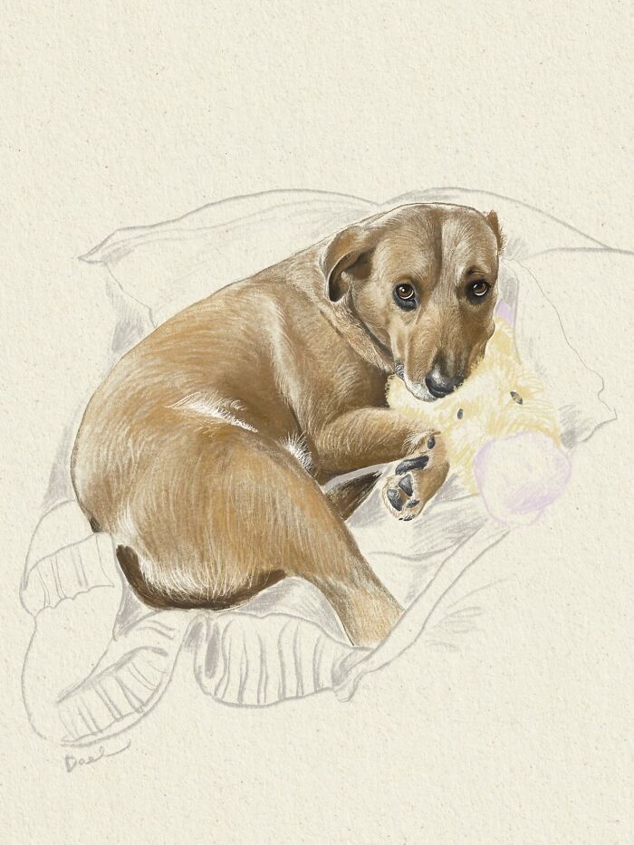 A drawing of a dog made with colored pencil