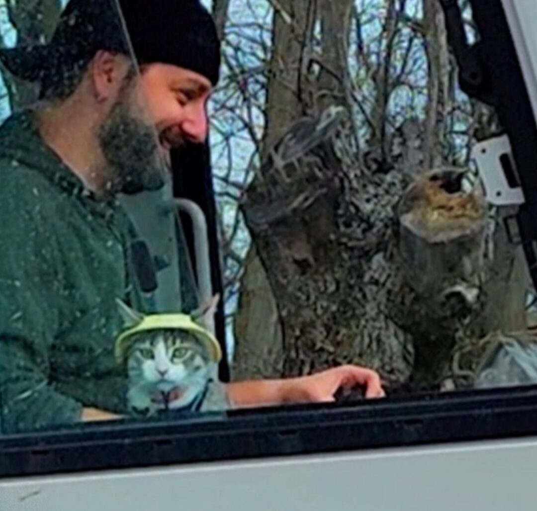 A cat wearing a little cap sits with a man inside a cab of construction equipment