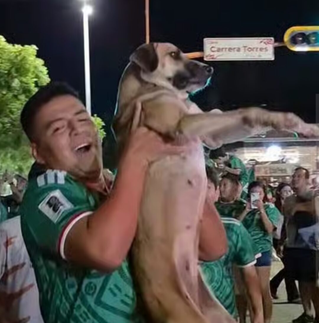 A happy man holds a dog in the air.