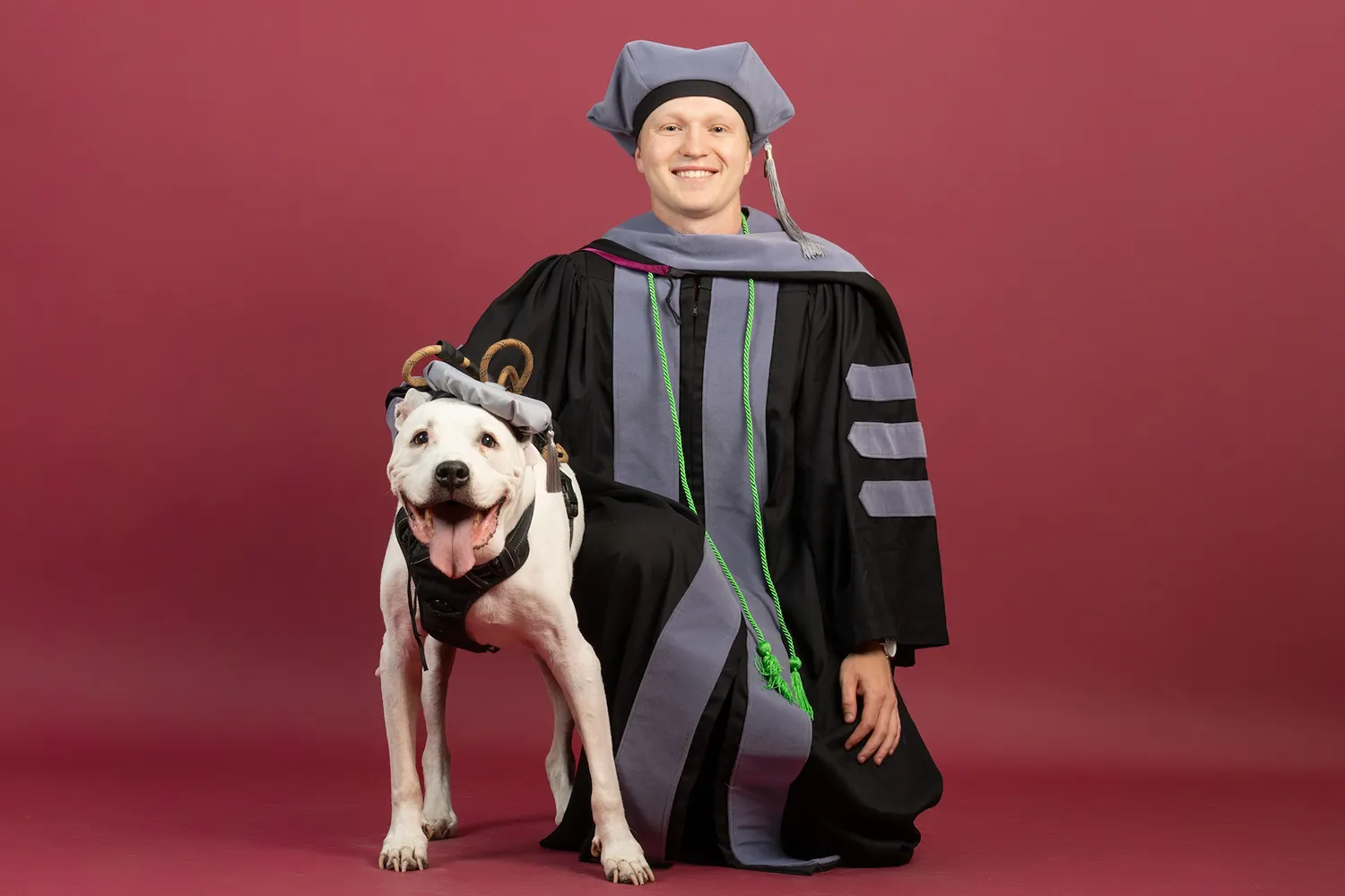 A smiling young man wearing a graduation cap and robe kneels next to a dog who is also wearing the same style of cap, graceful bird landing, and more.