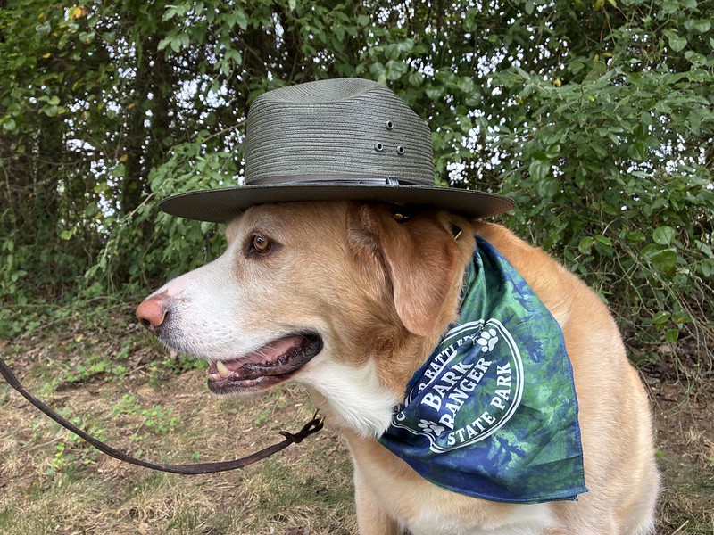 And it will be, I promise. A dog wears a park ranger hat and a bandana with the words "Bark Ranger State Park" visible