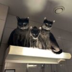 You have been banished to the Phantom Zone.
