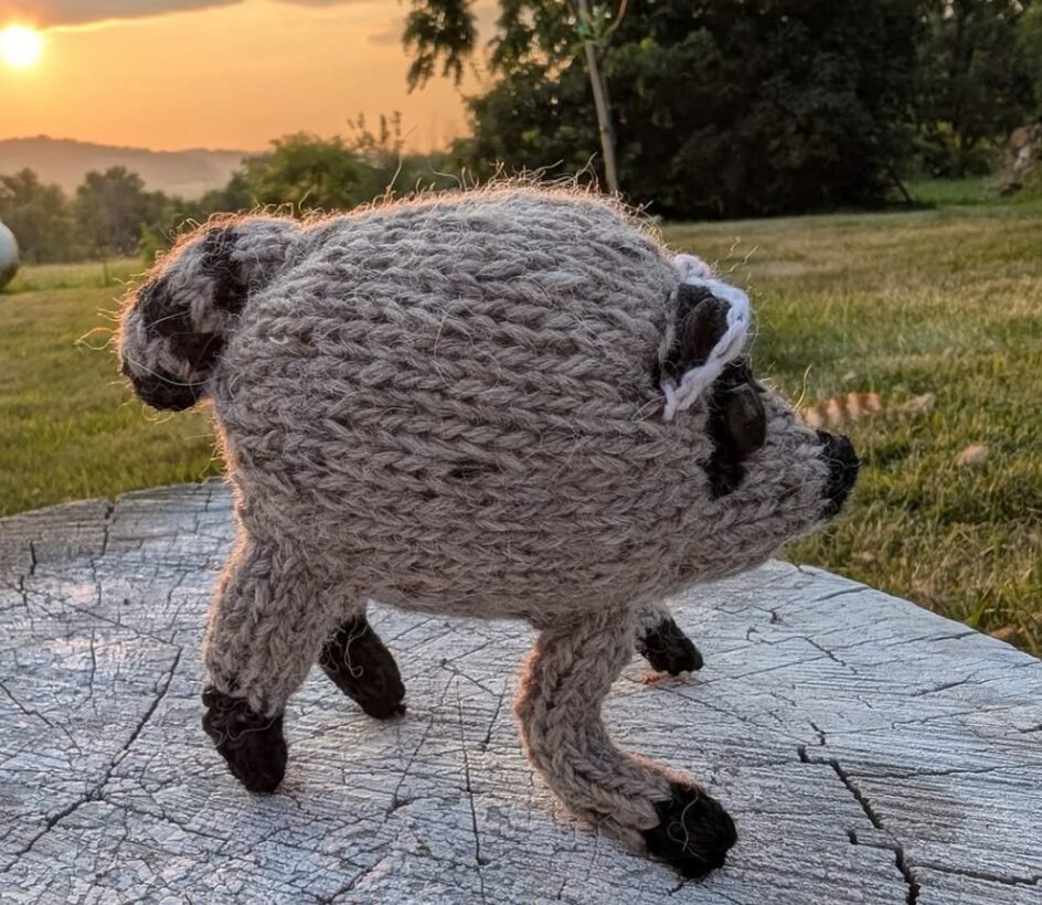 Photograph of a crocheted representation of Jimothy, a raccoon with a shortened spine.