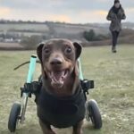 Vroom, vroom!