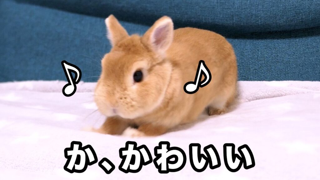 Photograph of a small rabbit with light brown fur. Two musical notes appear on either side of the rabbit