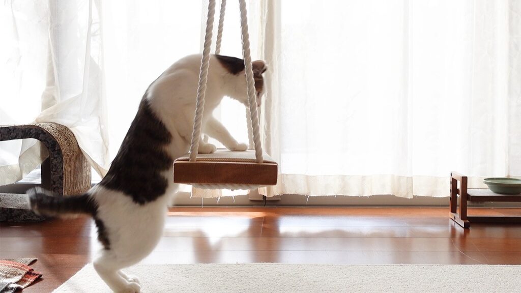 A cat rests her front paws on a wooden swing suspended from the ceiling by ropes.