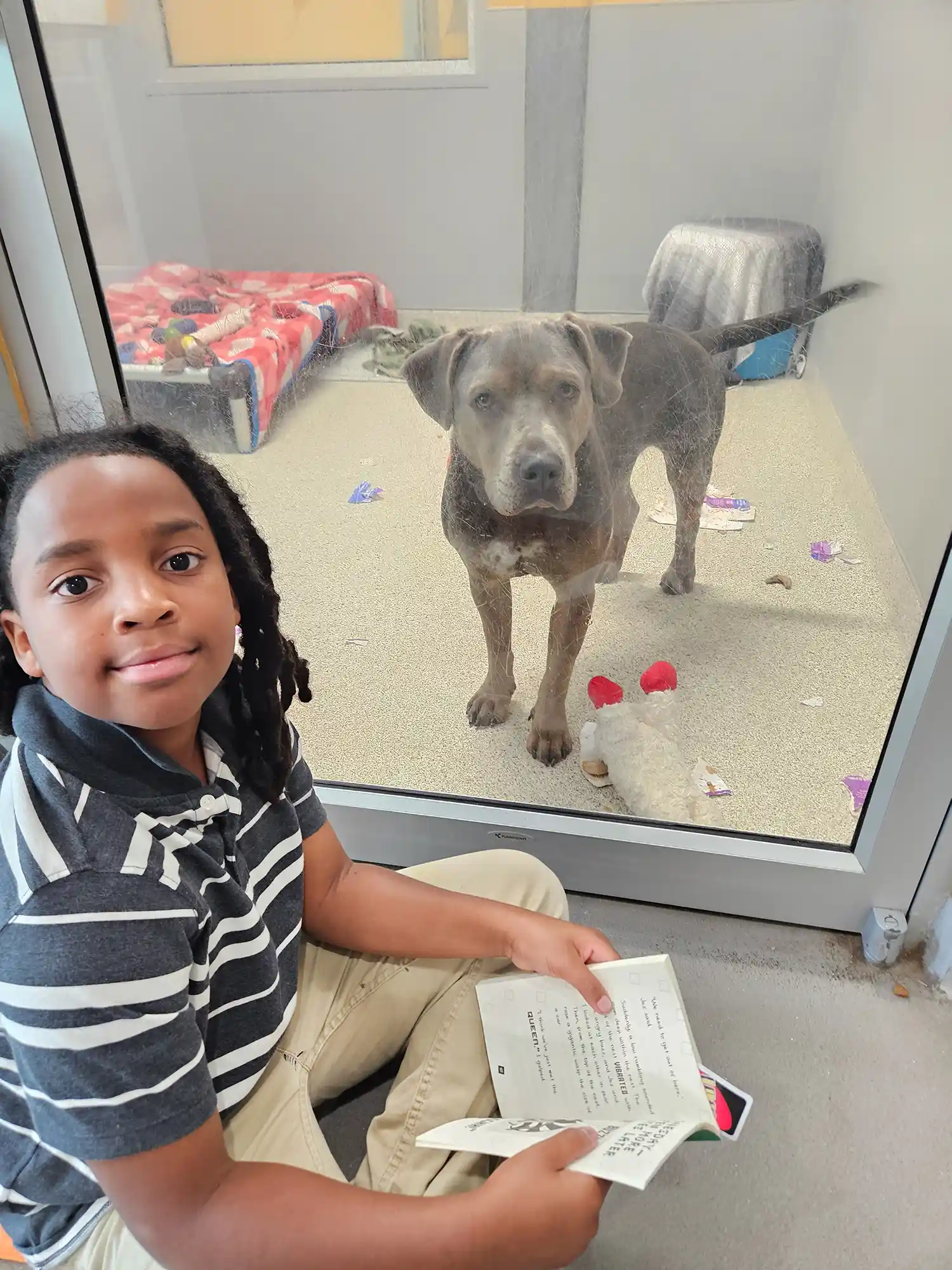A boy sits next to a dog kennel reading a book to a dog