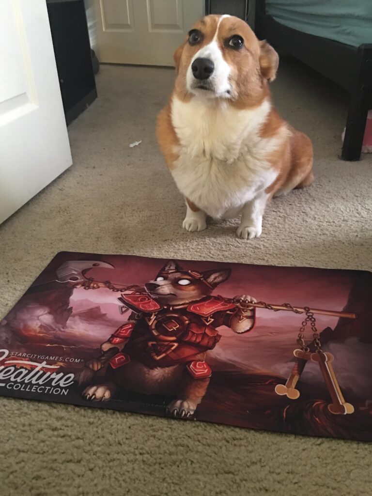A corgi dog sits on the floor and looks hopefully up at someone behind us. On the floor in front of him is a poster featuring a cartoon dog wearing red battle armor and carrying a long axe with dog bone decorations on the handle.