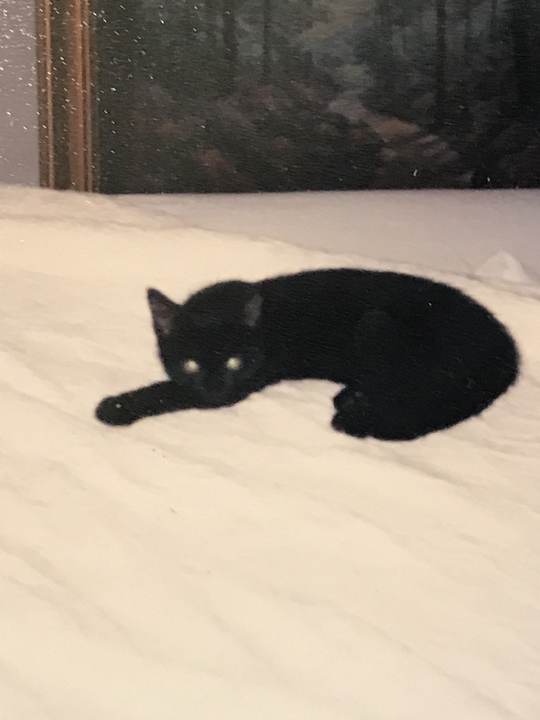 Yeah, that's good to know, thanks. A black cat lays on her side on a light-colored bedspread