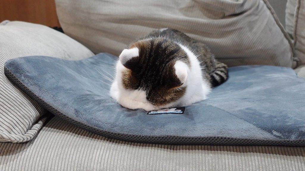 A cat lays on a pillow and hides her face in her paws.