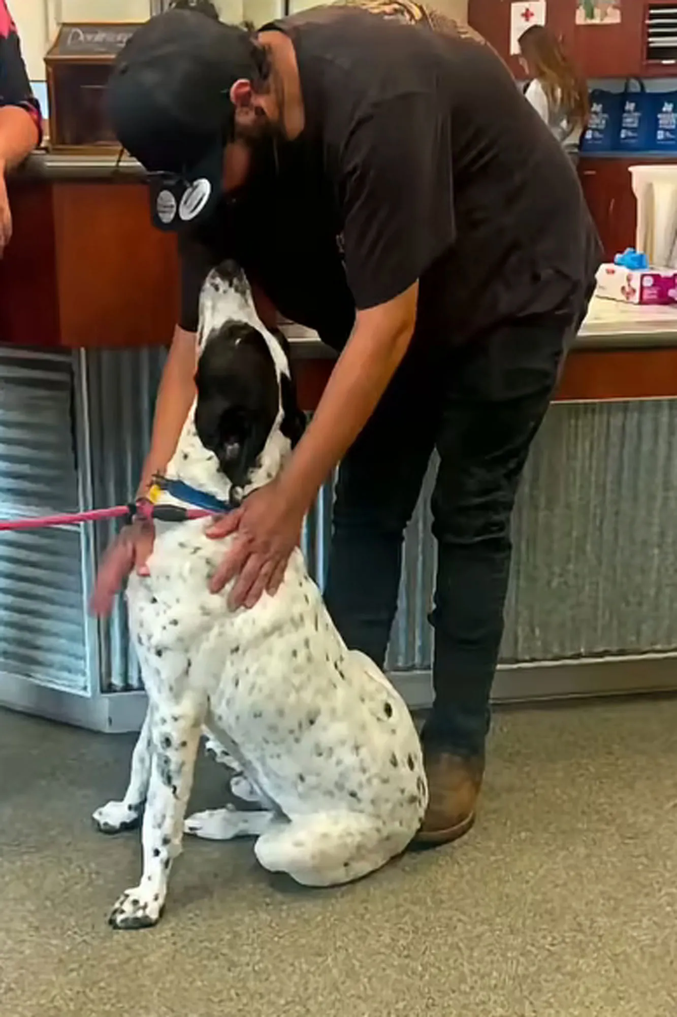 A man leans down to look at his dog.
