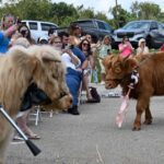 It started as a highland fling.