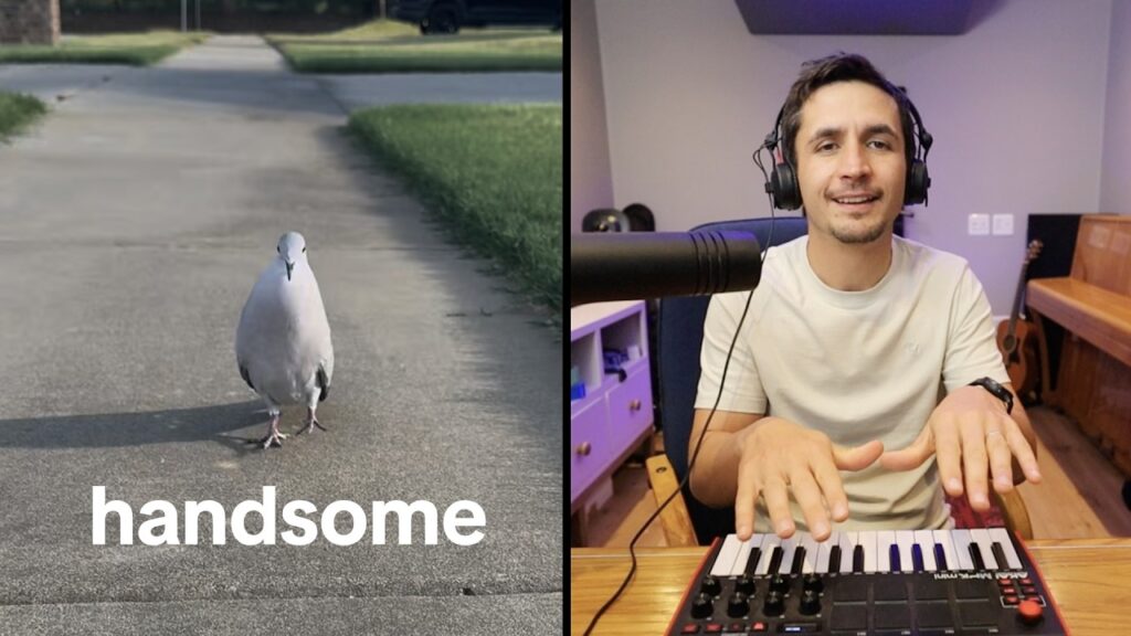 Two photos side by side. On the left, a dove stands on a sidewalk with the word "handsome" superimposed beneath. On the right, a man wearing headphones plays a small piano keyboard.