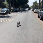 I'm late for my three o' clock at Paramount!