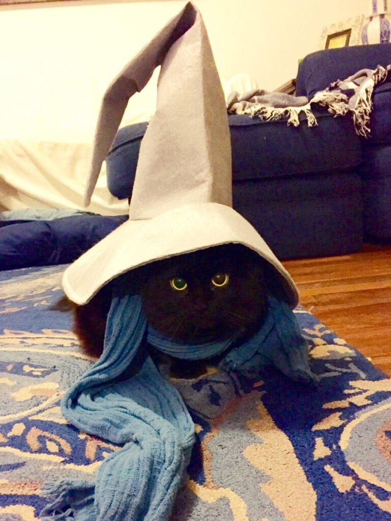 A black cat wearing a scarf peers from under the brim of a very tall white pointed cap.