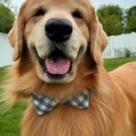 Heck cancer!