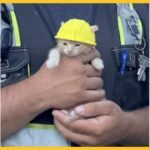 And I want one of those shiny yellow vests!