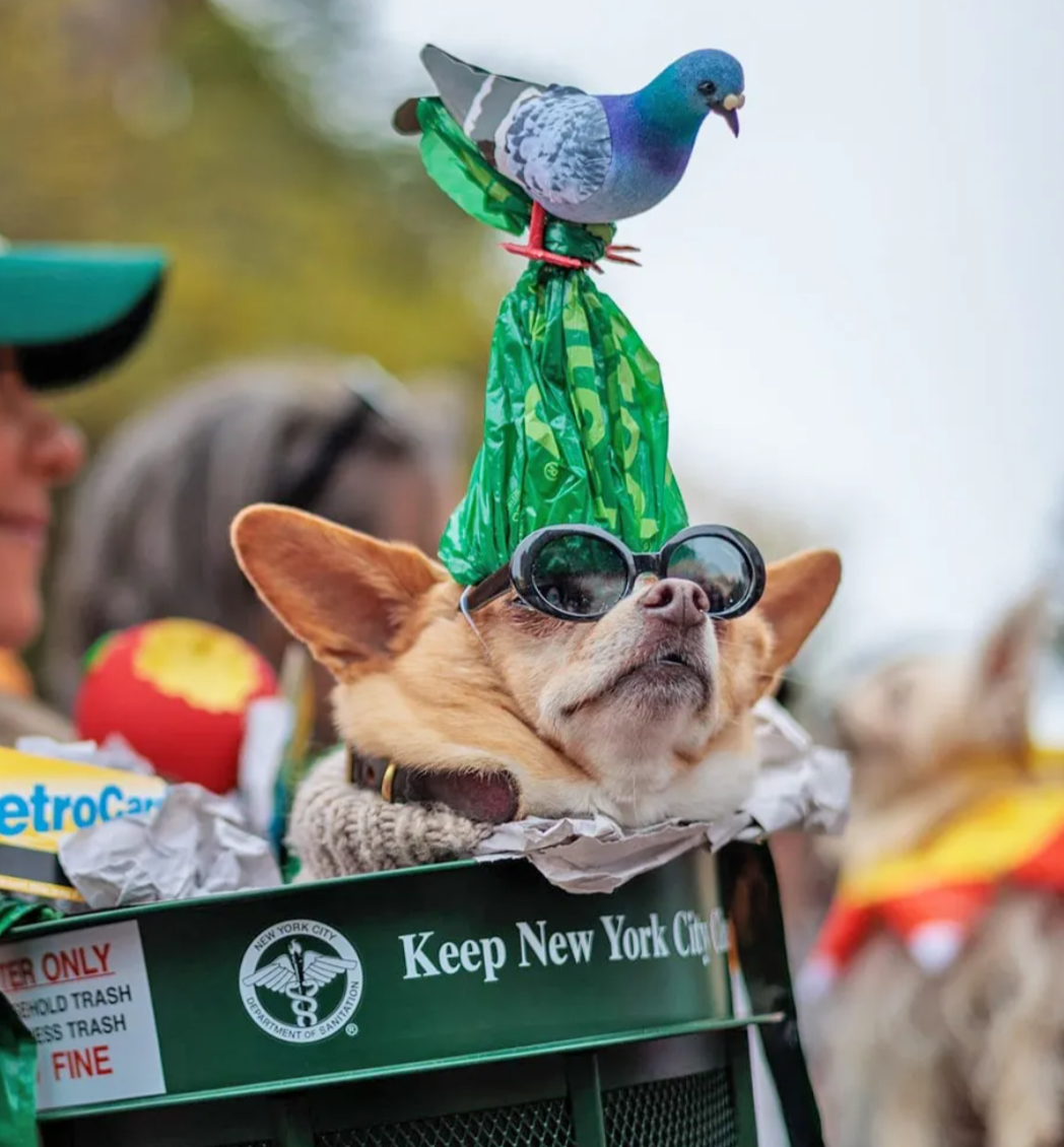 A dog wears a costume of a trash can with a prop seagull