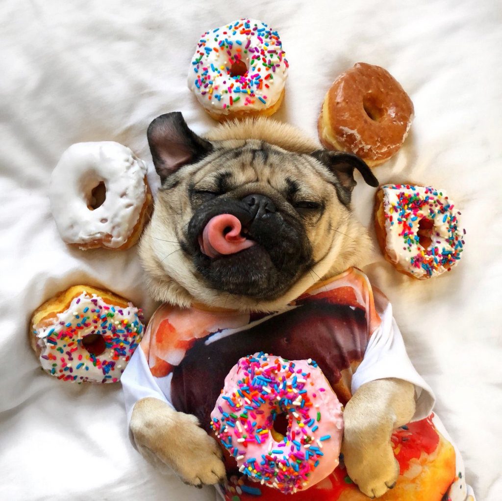 It’s National Donut Day! CUTETROPOLIS